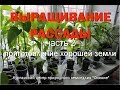 Рассада: приготовление хорошей земли #РАССАДА