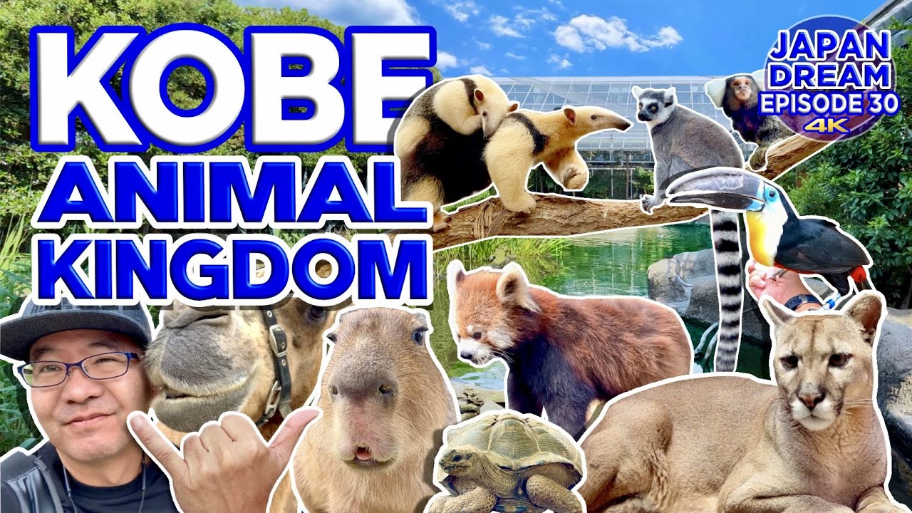 JAPAN's Amazing INTERACTIVE Zoo! - YouTube