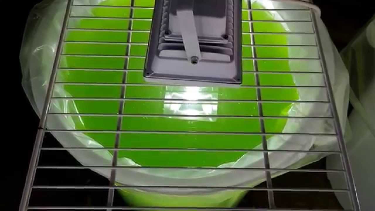 วิธีทำน้ำเขียว วิธีเพาะไรแดง โดยไม่ใช้แสงแดด