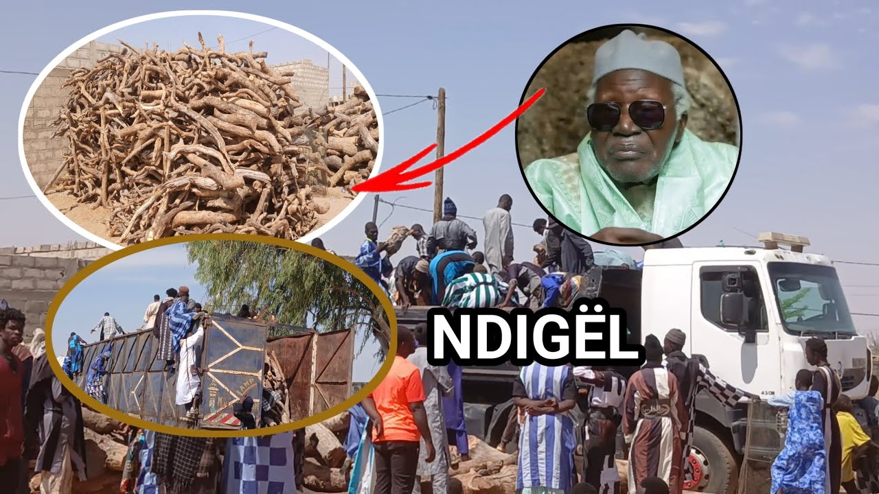 WADIAL NDOGOU KHALIF GÉNÉRAL SERIGNE AMDI KHADI FALL  VENDREDI LE 13 FÉVRIER 2026 TOUBA DIANATOU  