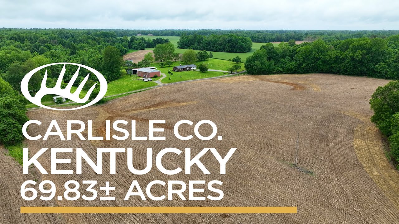 Carlisle County, KY 69.83± Acres YouTube