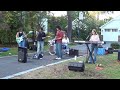 Superstition Dizzy Lizard Chatham Block Party 10.18.2025