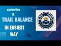 LEARN TO SOLVE ILLUSTRATION OF TRAIL BALANCE FOR ICSE CLASS 9 AND 10 in Easiest way