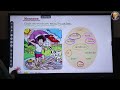 MRIDANG || SEASONS || ( The Four Seasons ) || C.B.S.E JUNIORS'