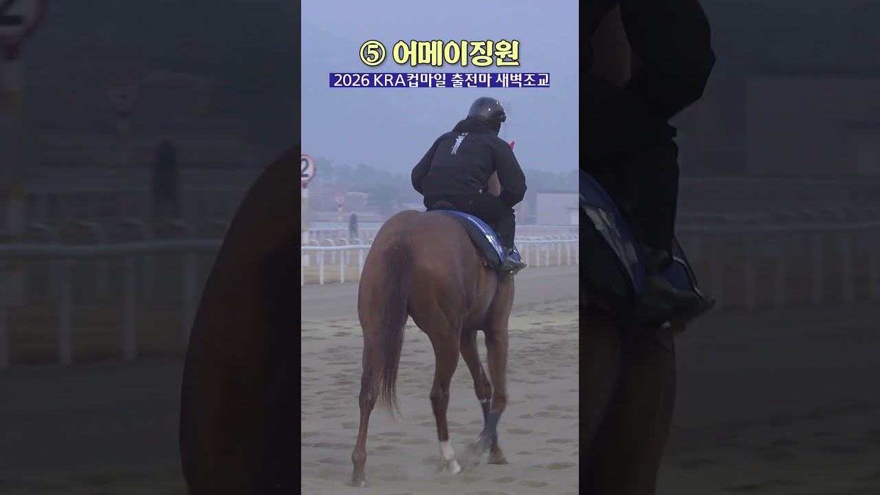 인터뷰 없어서 서운했던 #어메이징원 팬도 모여라ㅣ#KRA컵마일 #새벽조교