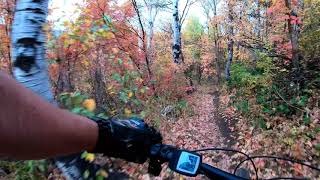 Mountain Biker Captures Serene Autumn Forest in Utah Mountain Biker Captures Serene Autumn Forest in Utah