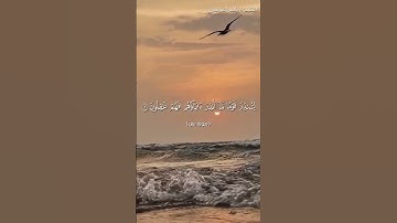 سورة يس من آية 1 إلى آية 8 بصوت الشيخ ياسر الدوسري♥♥