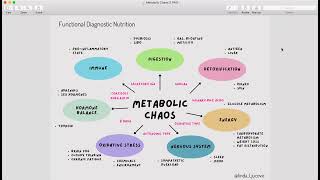 Metabolic Chaos - How Does An Fdn Work?