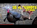 35 turkey head shots in 5 minutes  bow edition 