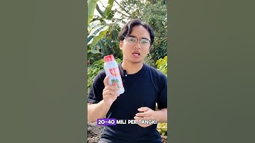 Kalsium untuk Mencegah Rontok dan Busuk Buah! #pupuk #kalsium #rontok #cabe #benihonline