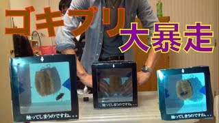 ゴキブリが大暴れ！箱の中身はなんだろな！？