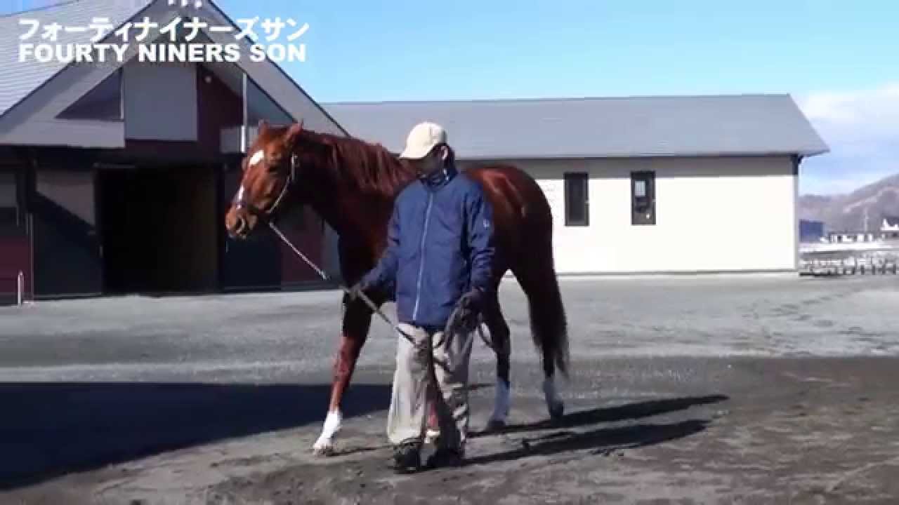 日高スタリオンステーション種牡馬展示会2015(Hidaka Stallion Station)-全映像