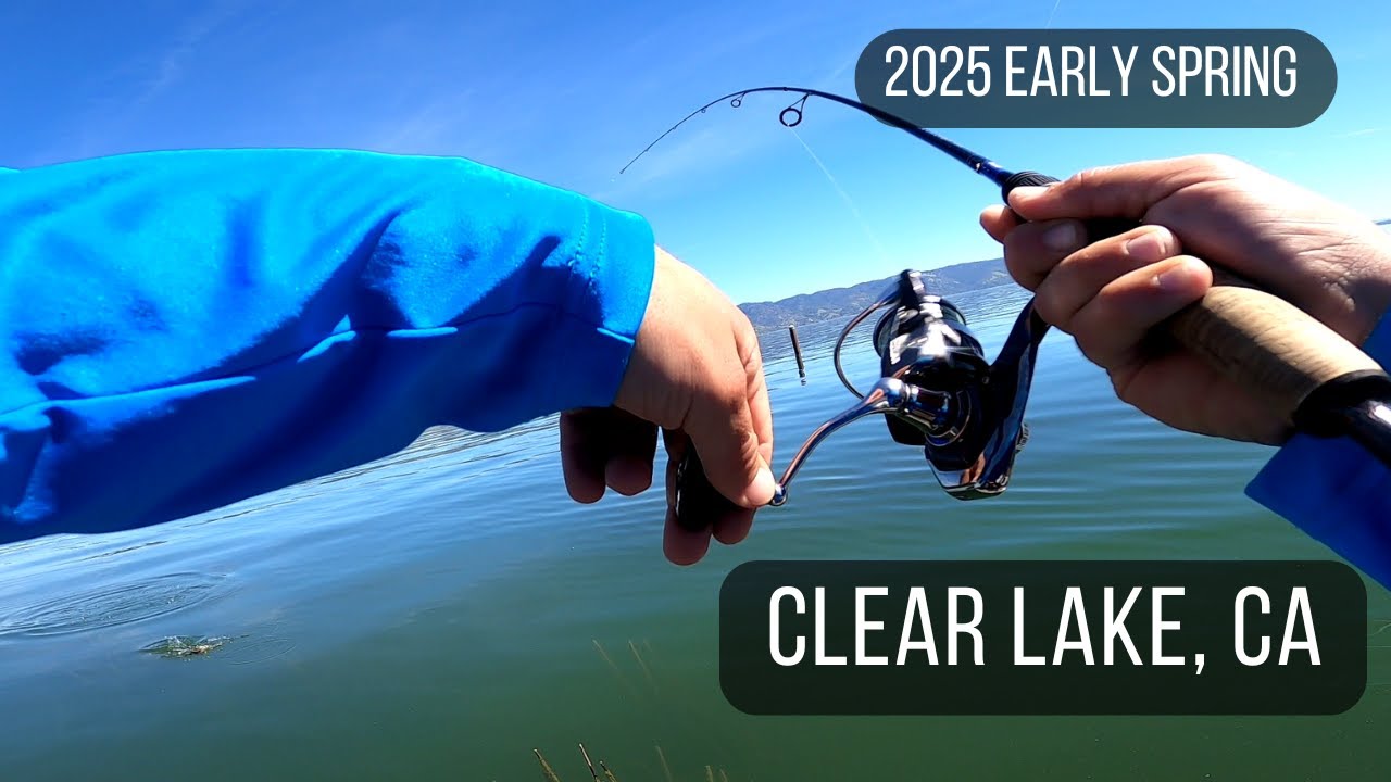 Finding Hungry CLEAR LAKE Bass on BIG glide baits and TINY Finesse.