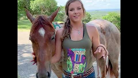 How to Put a Bit in a Horse