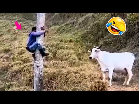 TRY NOT TO LAUGH 😁 Top Funniest Moments 😅😂 Memes PART 9
