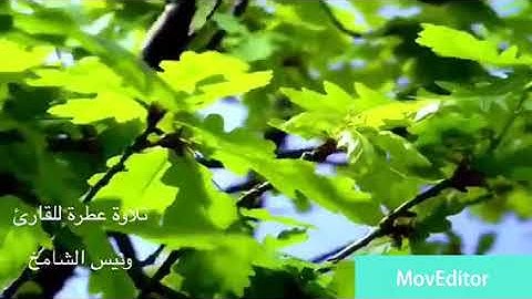 تلاوة عطرة من مدينة بنغازي للقارئ ونيس الشامخ