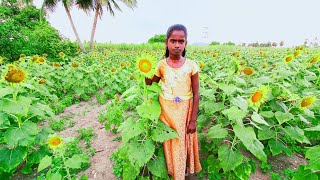 ஆச அதிகம் வச்சி பாடல் dance from Shilpa Tamil dancing