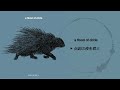 伝説の夜を君と - a flood of circle