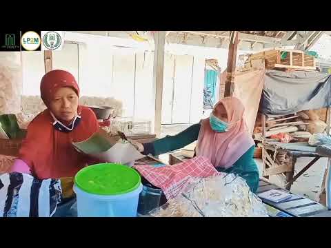 STRATEGI BERTAHAN DI TENGAH PANDEMI OLEH PEDAGANG PASAR BARON | KKN-VDR (039)  GELOMBANG II 2021