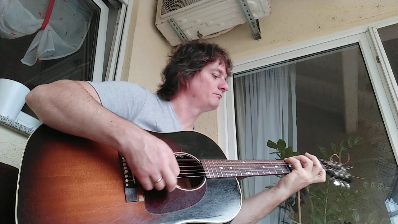 Fields of gold guitar cover