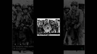 Histoire: Le drapeau nazi enlevé par les troupes alliées