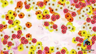 Interactive floor (Flowers)