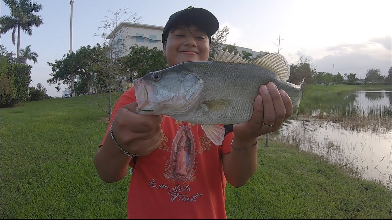 Pesca de bas con mi suscriptor  #floridafishing bass fishing with my subscriber