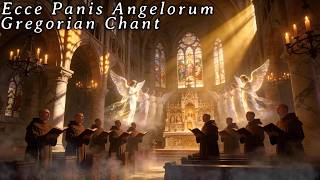 Gregorian Chant • Sacred Catholic Hymns • Monks Singing for Spiritual Healing