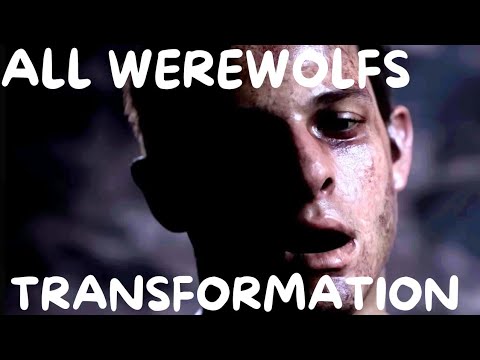 Elykhull Reaction to all character Werewolf Transformation in the The Quarry