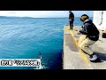 【解禁初日!!】クーラー満タン、巨アジが入れ食い!そんな場所で頑張った結果・・・釣れすぎる仕掛けを手にしただけで…魚が釣れすぎ、大物連発‼️パラダイスだった!!直江津港第3堤防(ハッピーフィッシング)