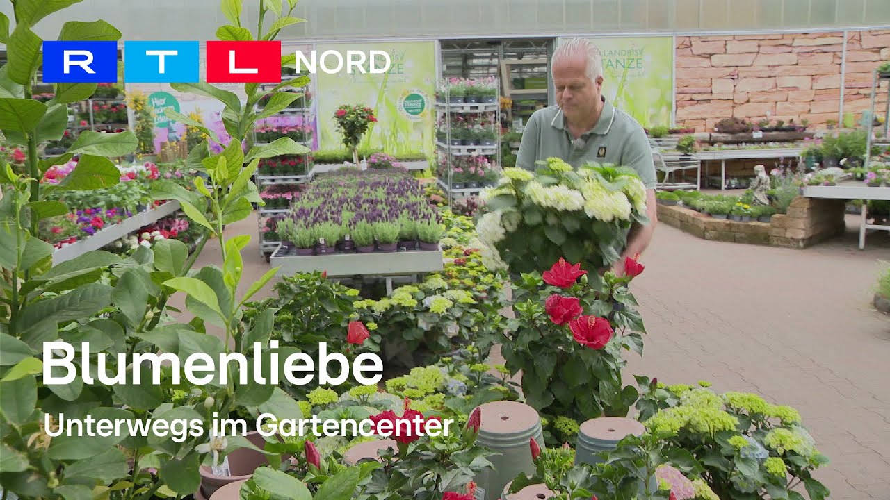 Grüner Daumen & frische Pflanzen: Unterwegs im Gartencenter Stanze in Hannover