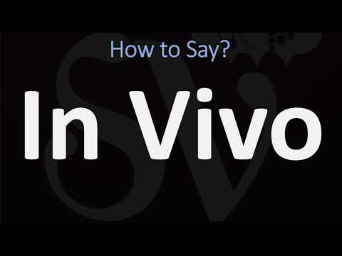 In Vivoで発音する方法は？ （正しく）