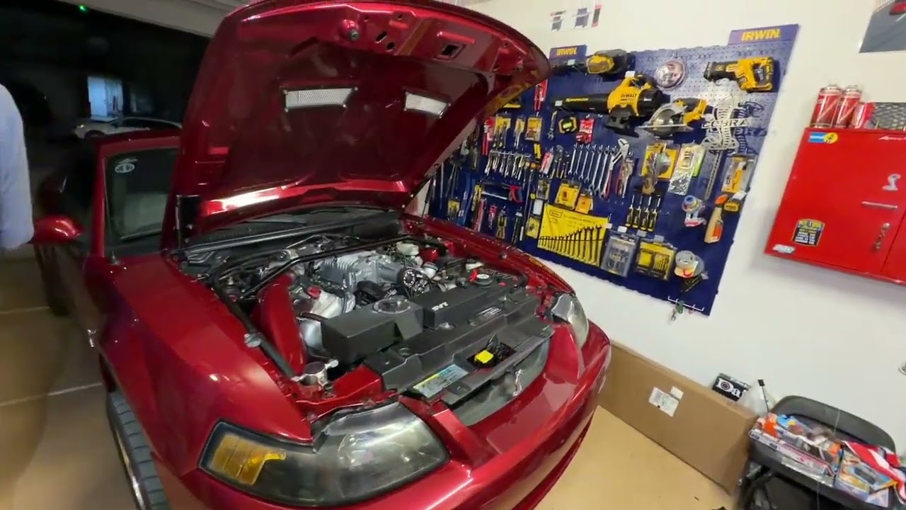 Обновление проекта Redfire Terminator Cobra 2003 года