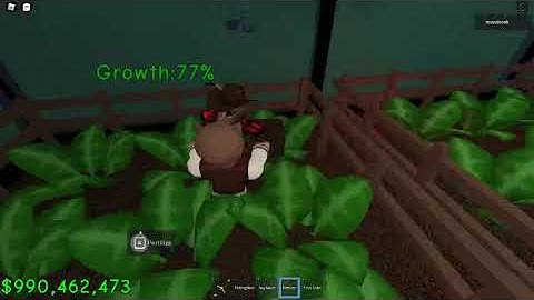 Getting autoclicker in raise a floppa