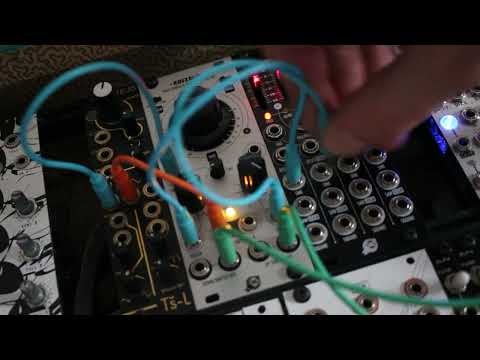 エクルベージュ Weston / B2 Kick/Bass モジュラーシンセ | dizmekaro.com