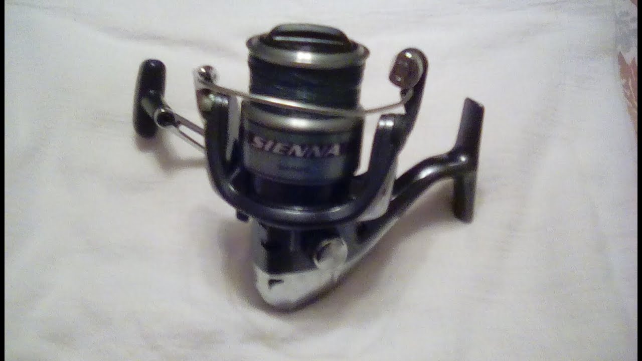 Sienna 4000fd Clearance