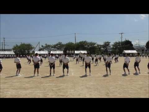 サークル 第71回 体育大会2017