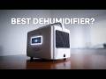 Crawlspace Dehumidifier Review: AlorAir 70 PPD Helios D35 – Is it Right for Your 1000 sq ft Space?