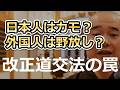 【自転車青切符】裏に潜む絶望的な日本人差別…これは他国侵逼難か？