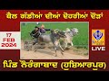 Live naurangabad  hshiarpur  ox races  17 feb 2024