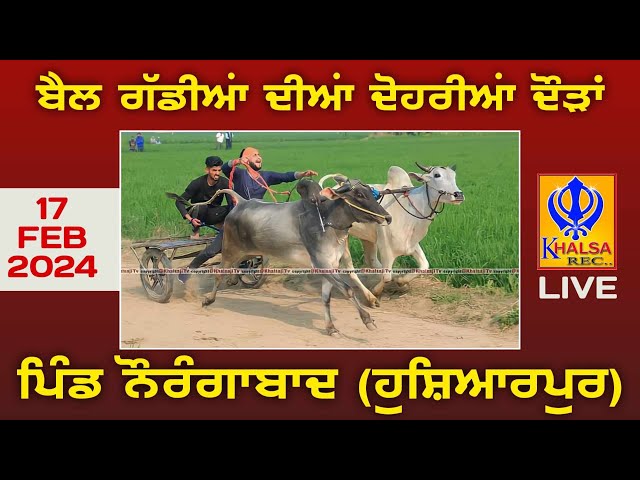 🔴[Live] Naurangabad | Hshiarpur | Ox Races | 17 Feb 2024 class=