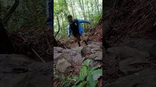 Turun Naik Tebing Gunung Salak #gunungsalak #gununggede #gedepangrango #hutanlindung #pendaki
