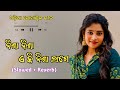 Nisha Nisha E Ki Nisha Lage || ନିଶା ନିଶା ଏ କି ନିଶା ଲାଗେ || Odia Romantic Song || Slowed + Reverb 