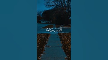 حَتَّىٰ إِذَا جَاءَ أَحَدَهُمُ الْمَوْتُ قَالَ رَبِّ ارْجِعُونِ -الشيخ ابوبكر الشاطري سورة المؤمنون