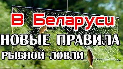В Беларуси разрешили ловить рыбу на экраны - телевизоры. Ловля на телевизор беларусь