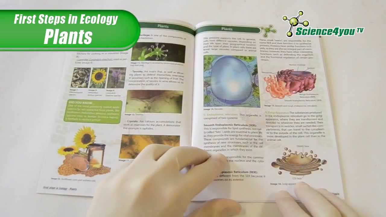 Science4you UK - Ecoscience - Plants