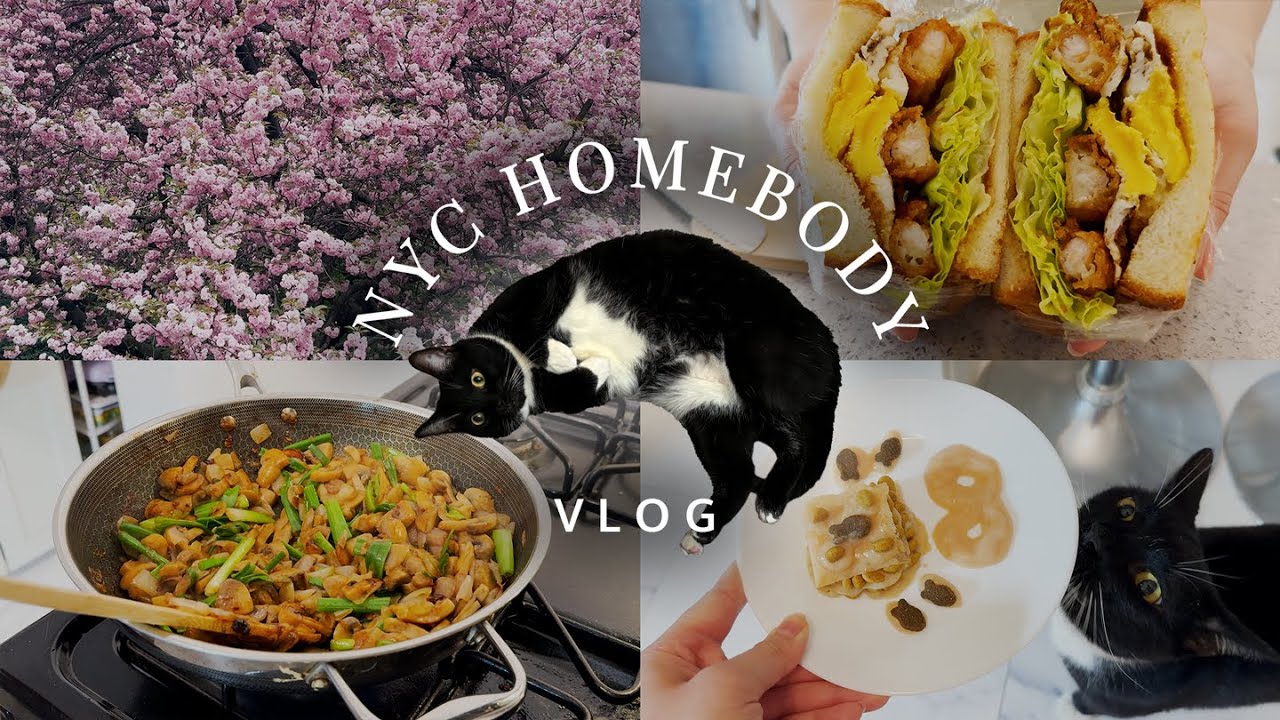 NYC Homebody Vlog | Po's 8th birthday, tempura shrimp sandwich, cherry blossoms at botanical garden