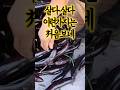 살다살다 이런가지 처음보네~#shorts#전국오일장 #재래시장 #koreanstreetfood