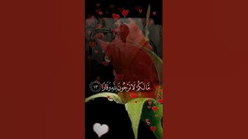 ما تيسر من سورة نوح لفضيلة الشيخ ياسر الدوسري .