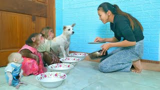 Baby monkeys Su and MiMi wait for food from KuKu and Mom